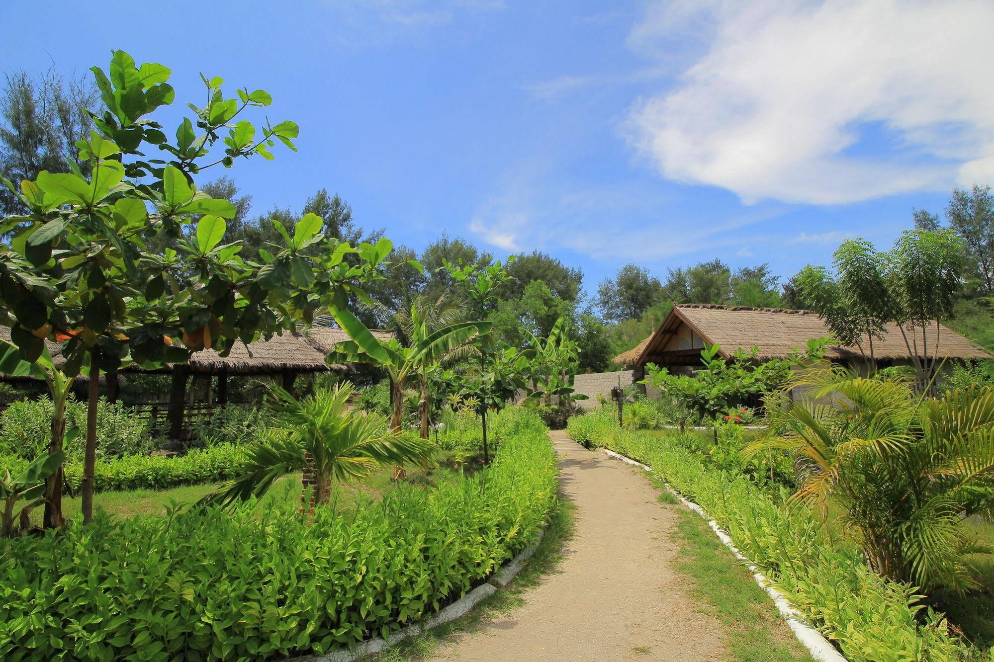 Adeng-Adeng Bungalows Gili Meno Zewnętrze zdjęcie